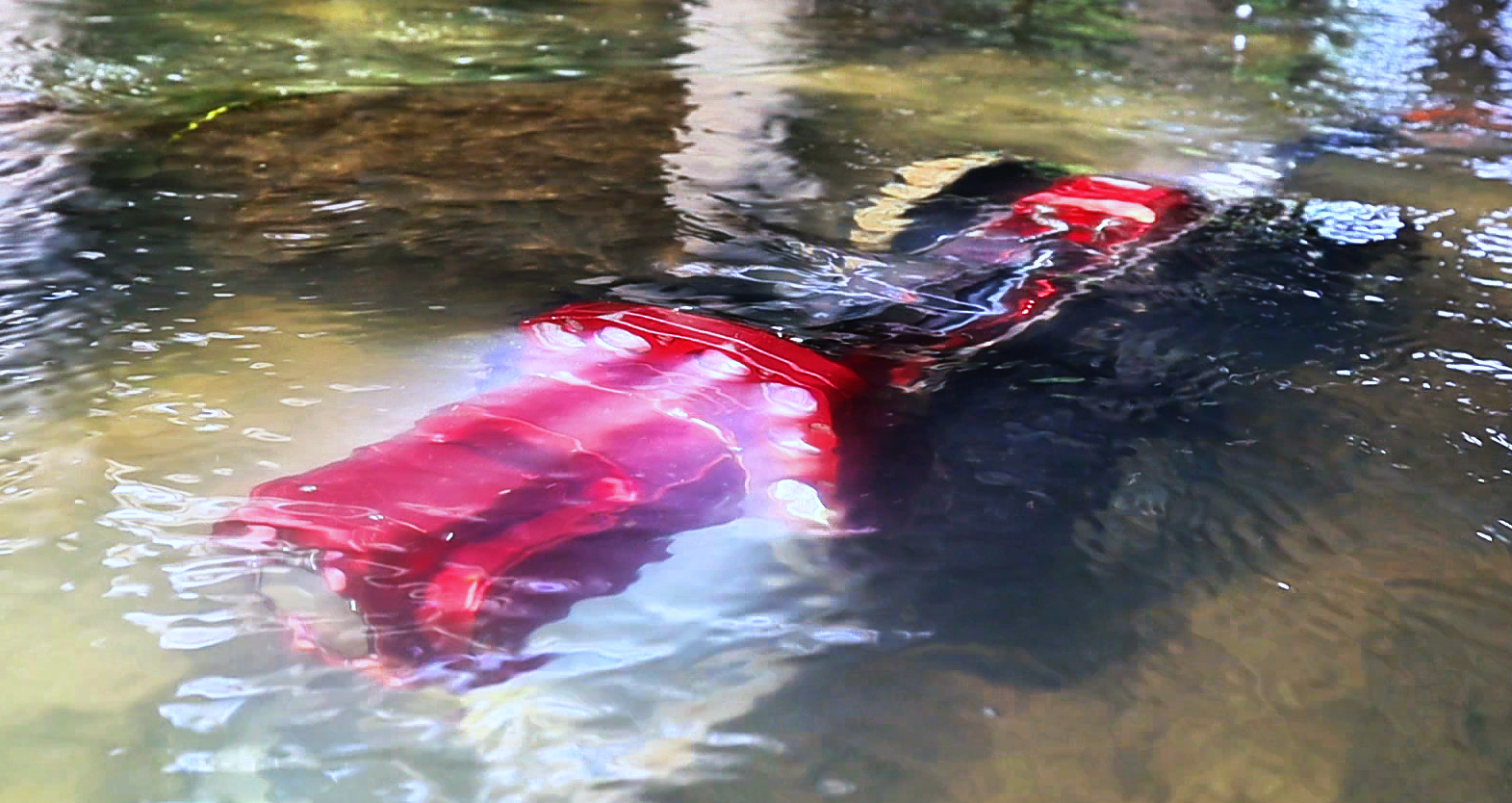 1767081880351852.png 1767081880351852.png